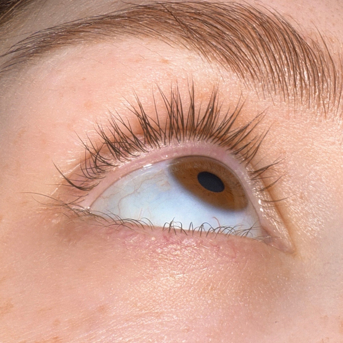 The same eye after eight weeks of the lash serum, with longer, denser lashes