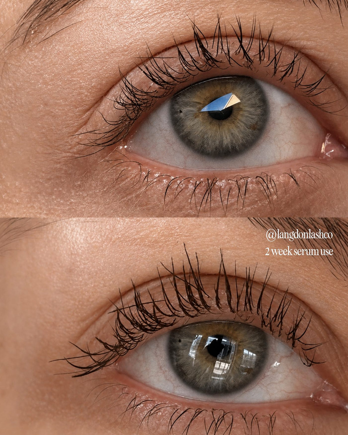 Lash serum before and after at two weeks of use