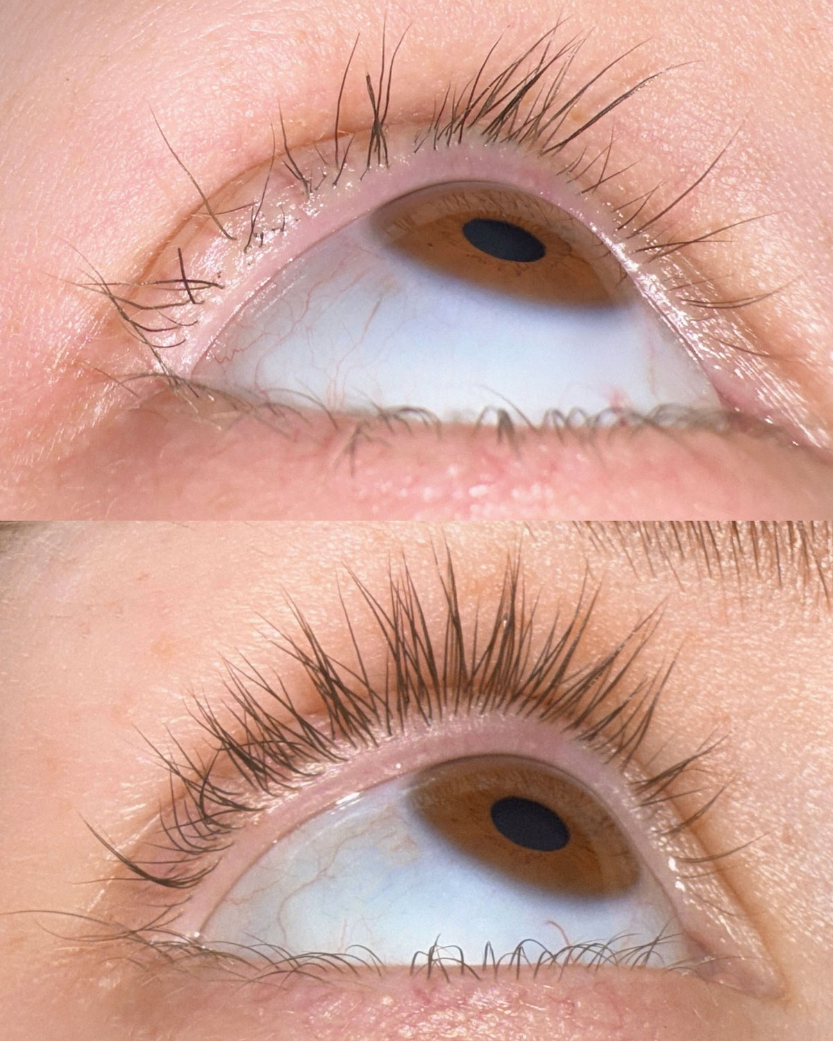 Light Heart Lash and Brow Serum Before and After Dramatic Growth 8 Weeks